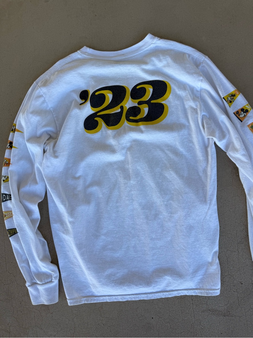Disneyland Resort 2023 Character Pennant Long Sleeve Shirt – Large